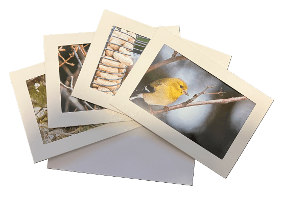 Picture of Gift Card Set