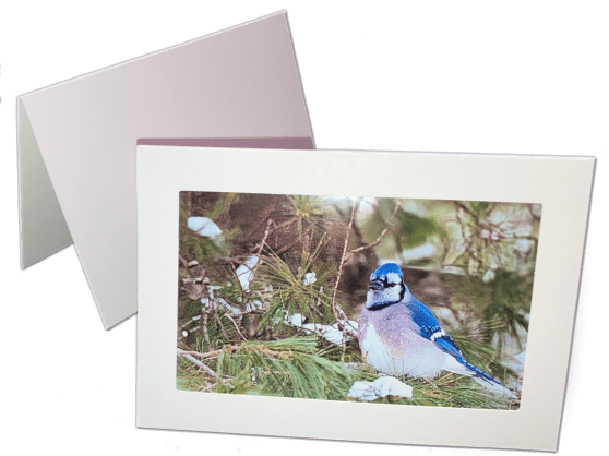 Sample of Folded Card<br />
